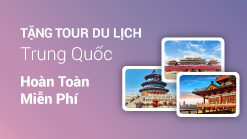 Vuhoangtelecom
