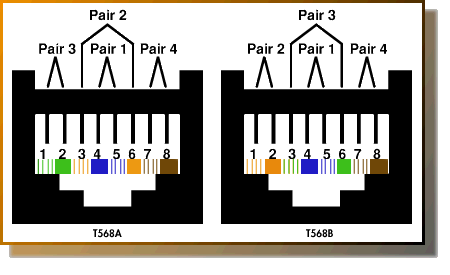 cách bấm dây cáp mạng -3 