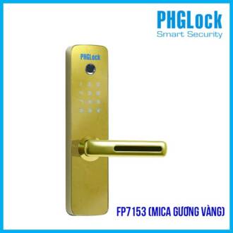 PHGLOCK FP7153G (Mica gương Vàng)