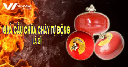 qua cau chua chay