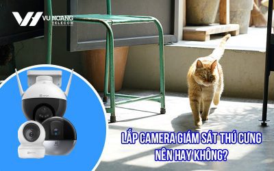 Việc lắp camera giám sát thú cưng nên hay không?