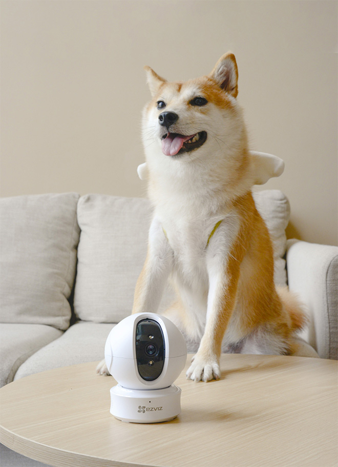 Các mẫu camera của EZVIZ đều sử dụng EZVIZ Cloud