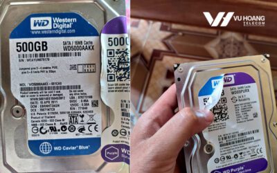 Ổ cứng Tím WD 500Gb dựng, nhái, tráo nhãn trên thị trường