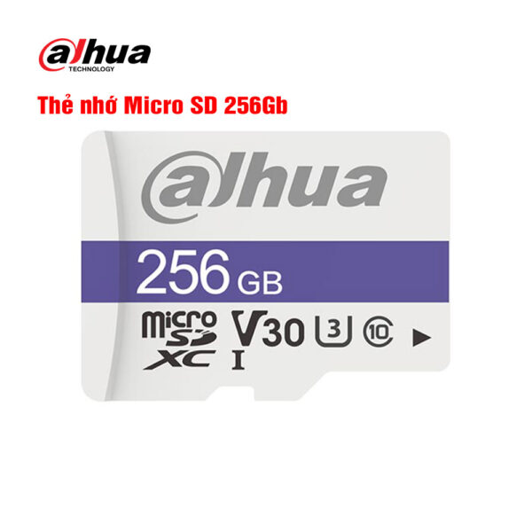 Thẻ nhớ Micro SD 256Gb DAHUA DHI-TF-C100/256GB