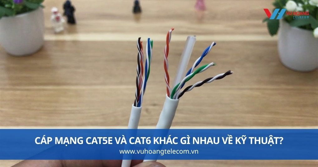 Cáp Mạng Cat5e Và Cat6 Khác Gì Nhau Về Kỹ Thuật?