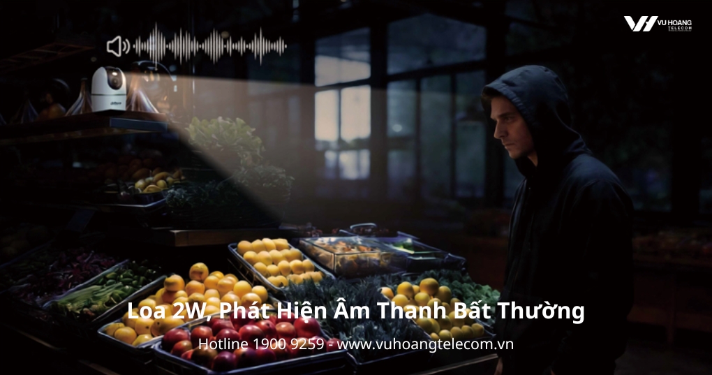 Loa 2W, Phát Hiện Âm Thanh Bất Thường